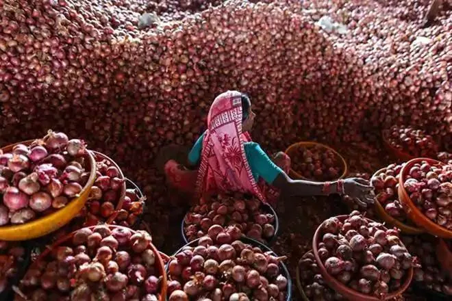 big decision by modi government no more onion crisis now centre to create 1 lakh tons of buffer stock in 2020