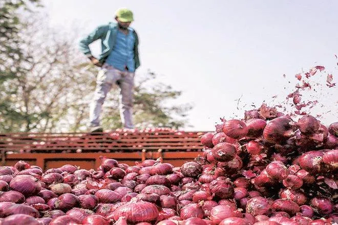 onion prices set to cheaper, onion prices india, new crop of onion arrival soon, supply of onion set to increase, inflation, onion theft, potato, costly onion, vegetables