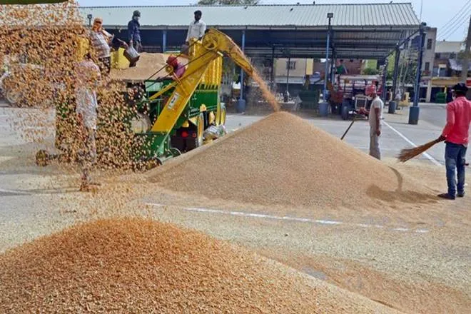 state wise wheat procurement detail in current marketing season this year despite coronavirus pandemic