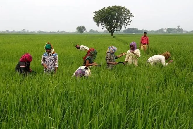 Uttarakhand government gives 1000 rupee per month pension to farmers, Kisan Pension scheme Uttarakhand government, benefits and conditions