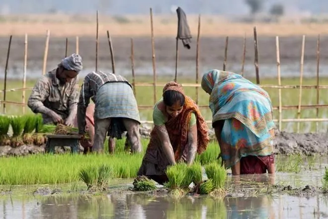 Monsoon Rain, Monsoon Season, Rain in India, Monsoon For India, Economy depend on monsoon in India, Kharif Crop, Rabi Crop, farmers, rural income, consumption, liquidity, monsoon and inflation