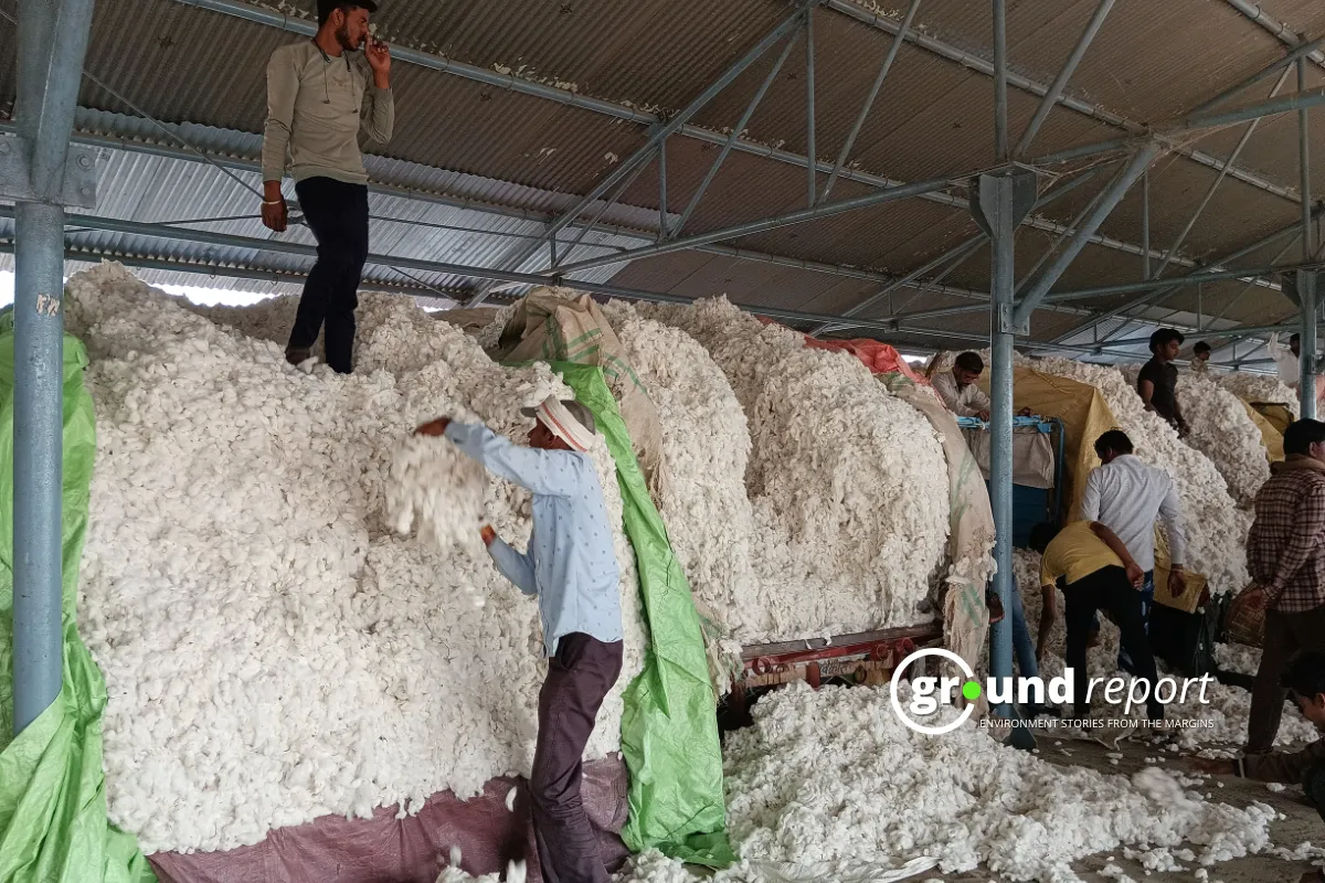 cotton market in khargone