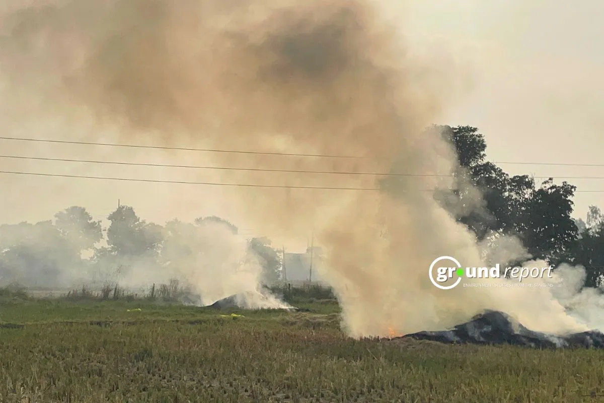 Stubble burning in Madhya Pradesh Bhopal