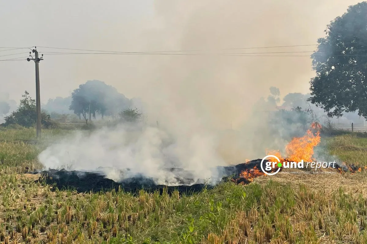 Stubbel Burning in Madhya Pradesh