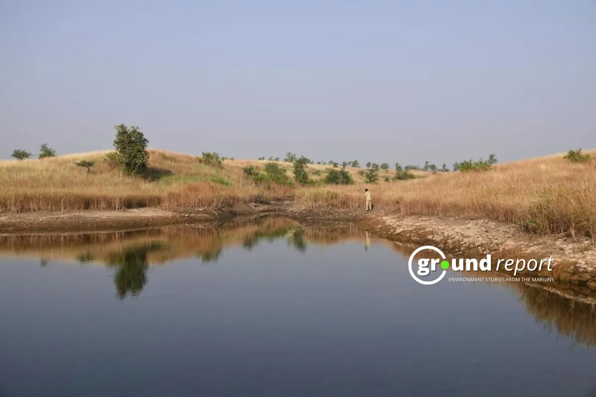 24 new bird species discovered at Kharmor Forest during third annual survey 4