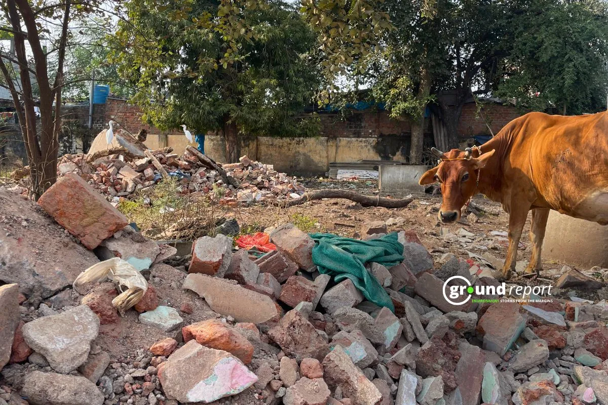 C&D Waste management in Madhya Pradesh