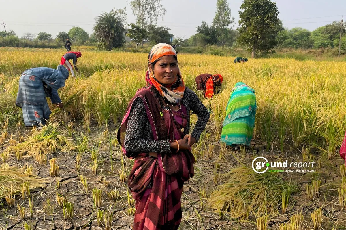 Woman farm laborers