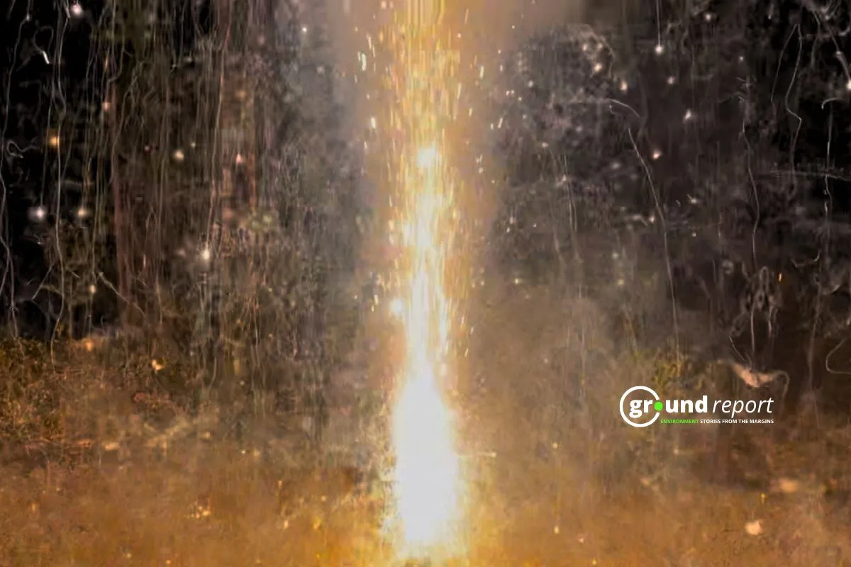 Firecrackers