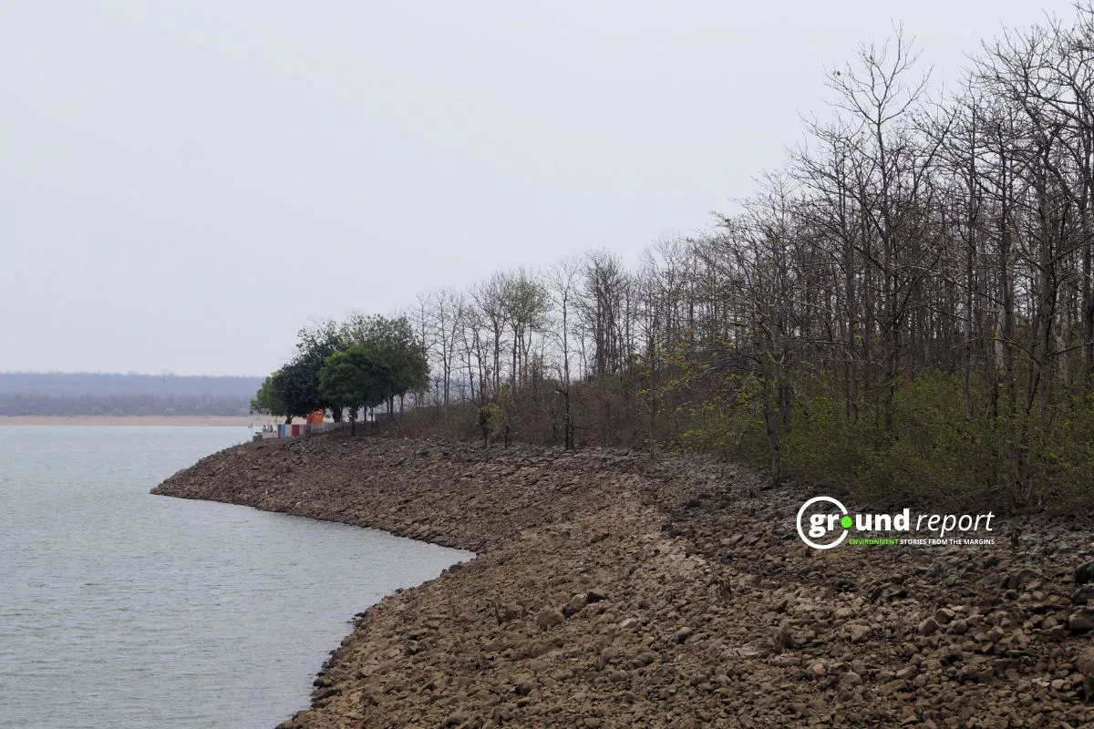Forests near Indira Sagar Dam in Madhya Pradesh