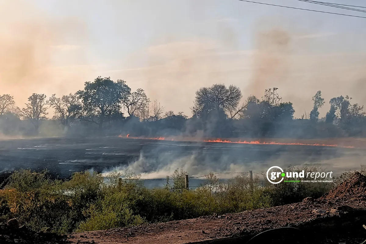Stubble burning in mp