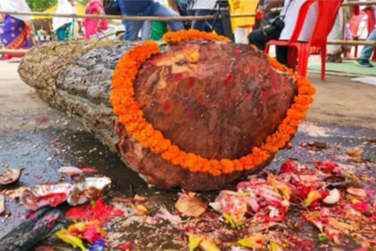 Hareli Festival and Pat Jatra