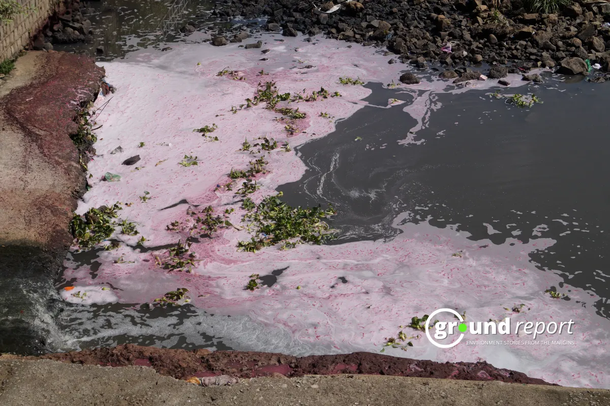 MP plans Shipra cleanup project22