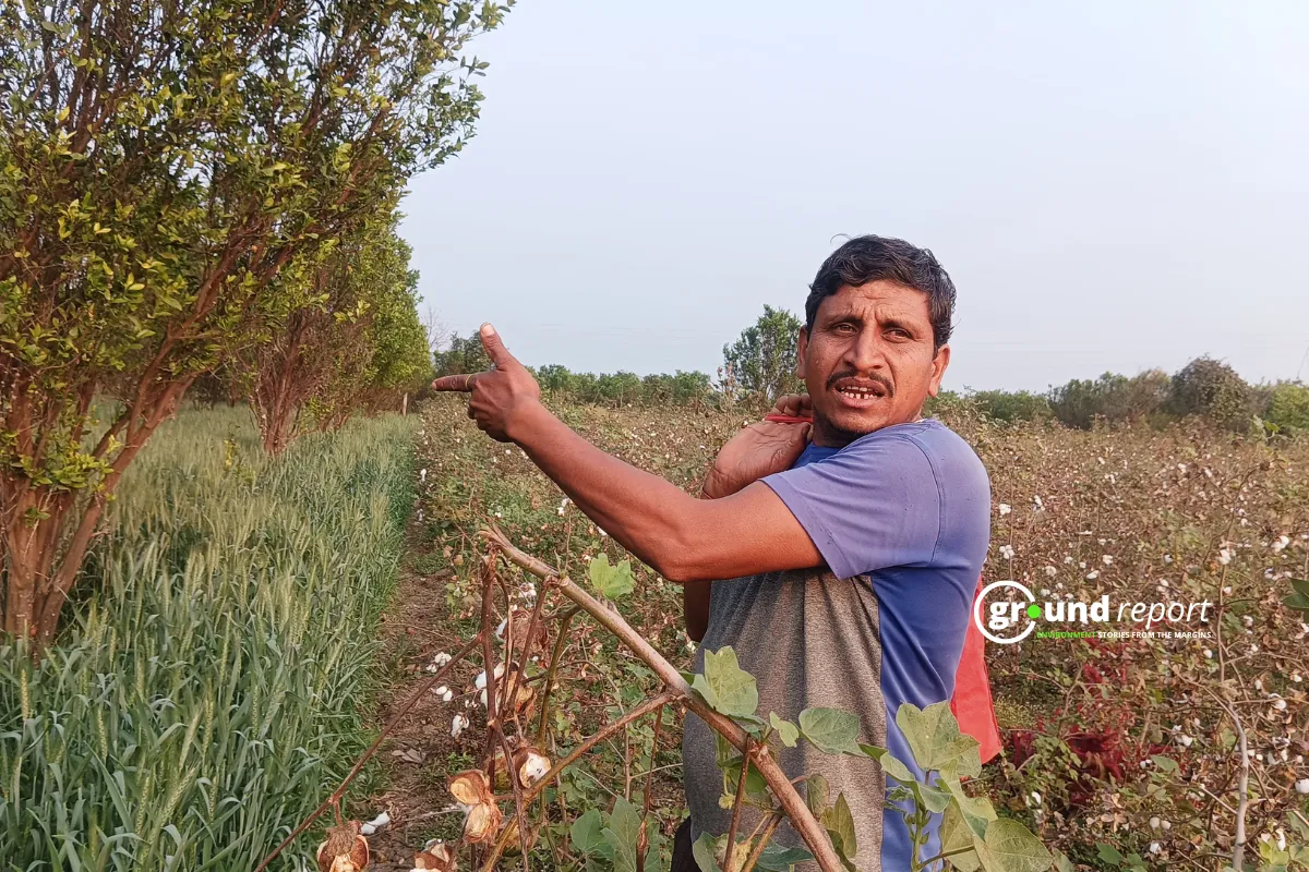 kisan of orange