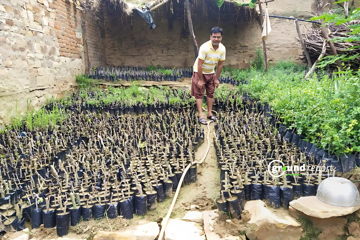 guggal nursery