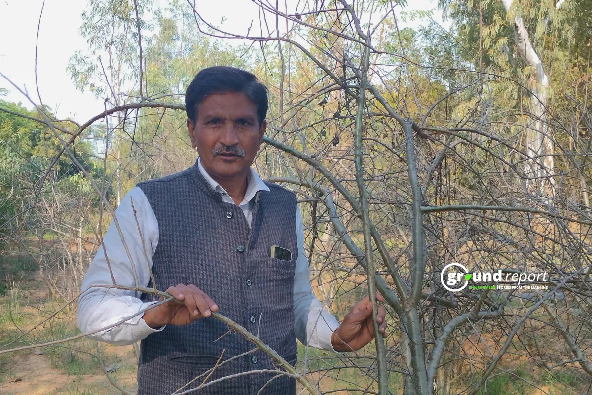 Zakir Hussain Sujagriti Samaj Seva Sansthan