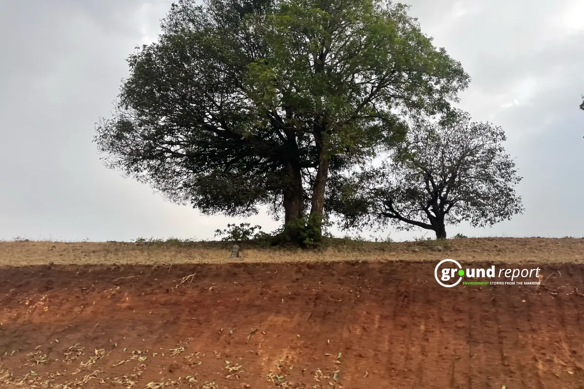 Madhya Pradesh  gully erosion 12