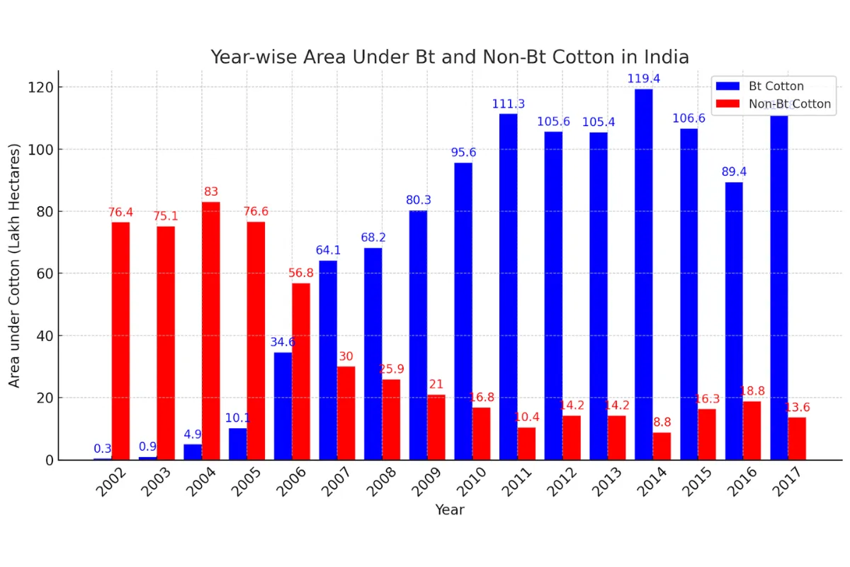 BT cotton India