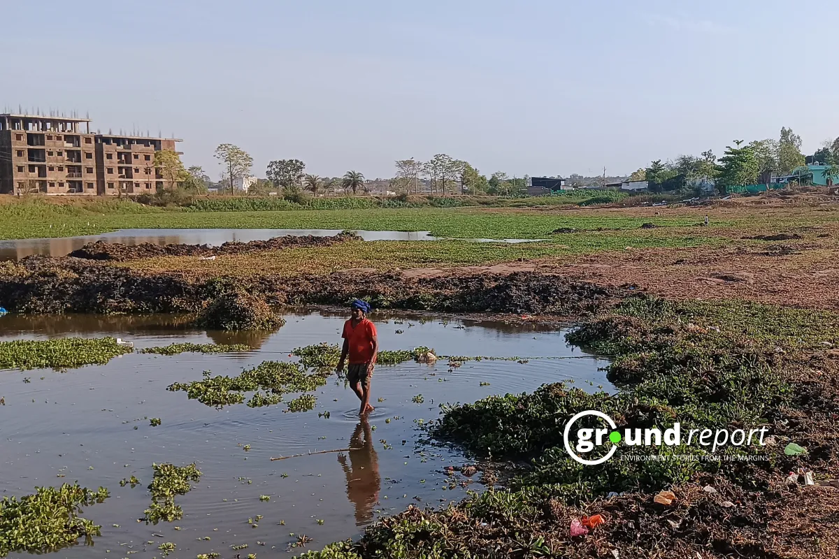 pond in jhabua