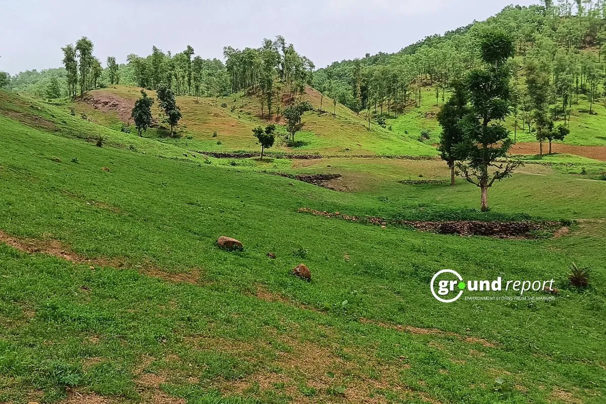 Deforestation in Alirajpur