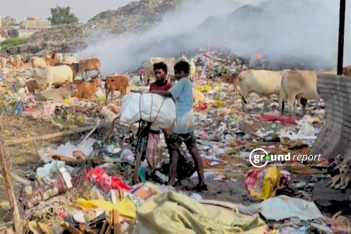 rag pickers in India