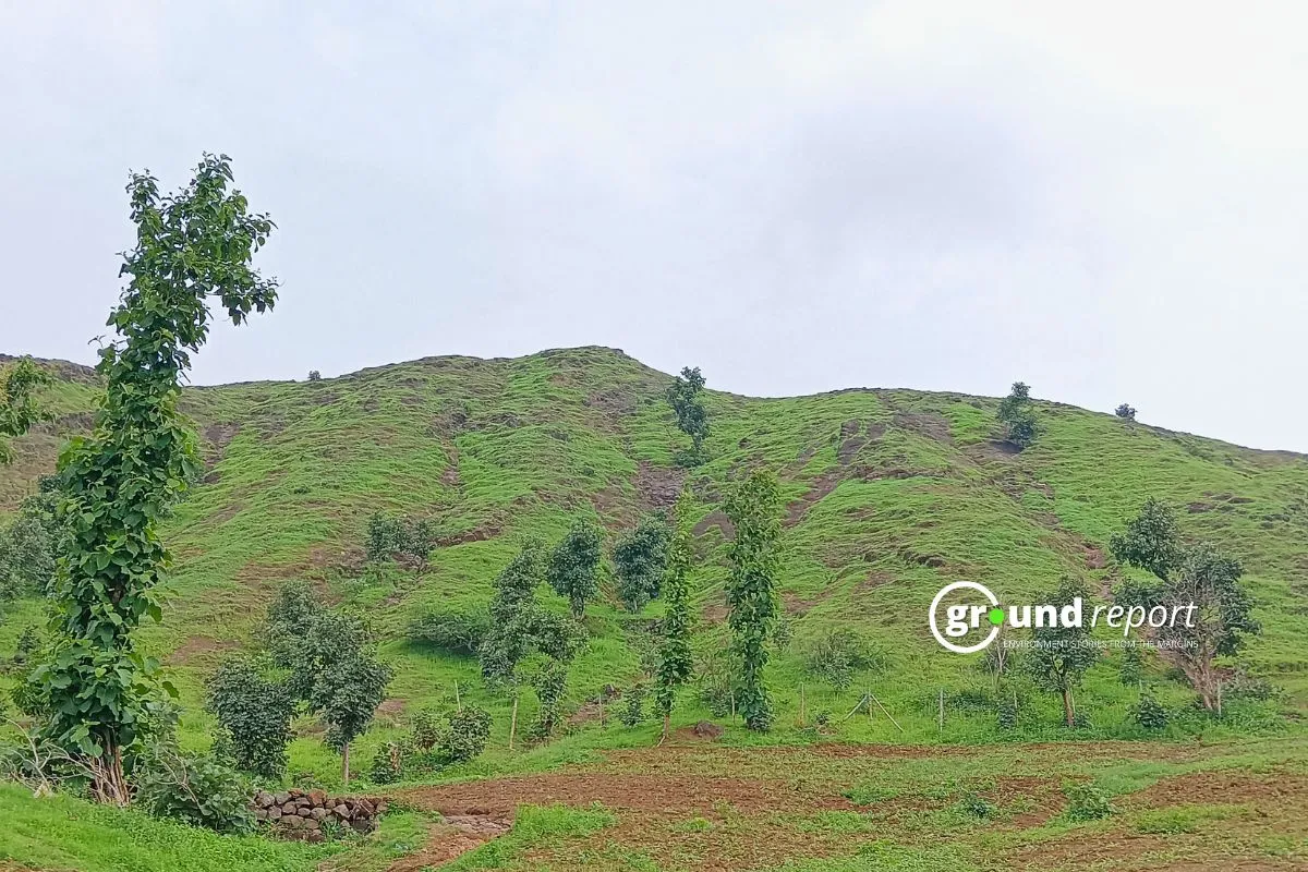 Alirajpur forest land