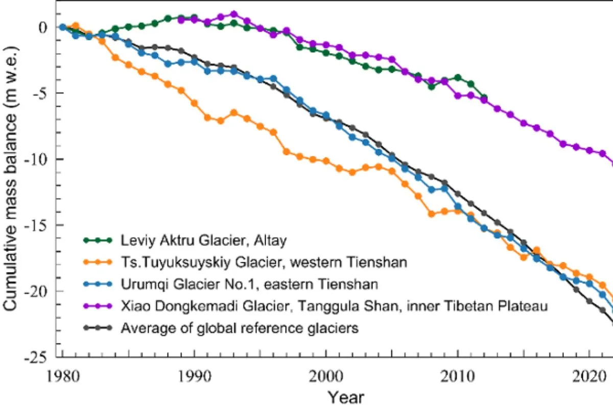 Cumulative mass balance (in metres water equivalent (m w.e.)) of four reference glaciers in the High Mountain Asia region and the average mass balance for the global reference glaciers.