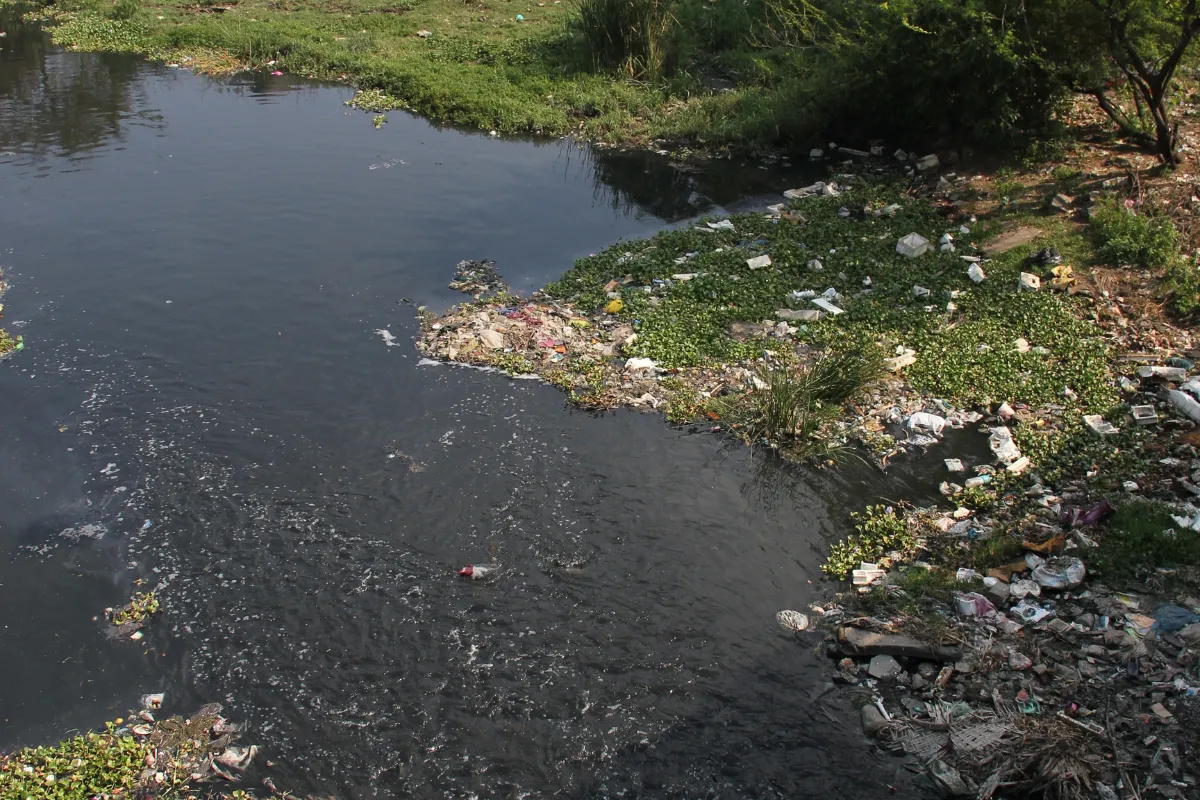 Polluted Cooum River Chennai