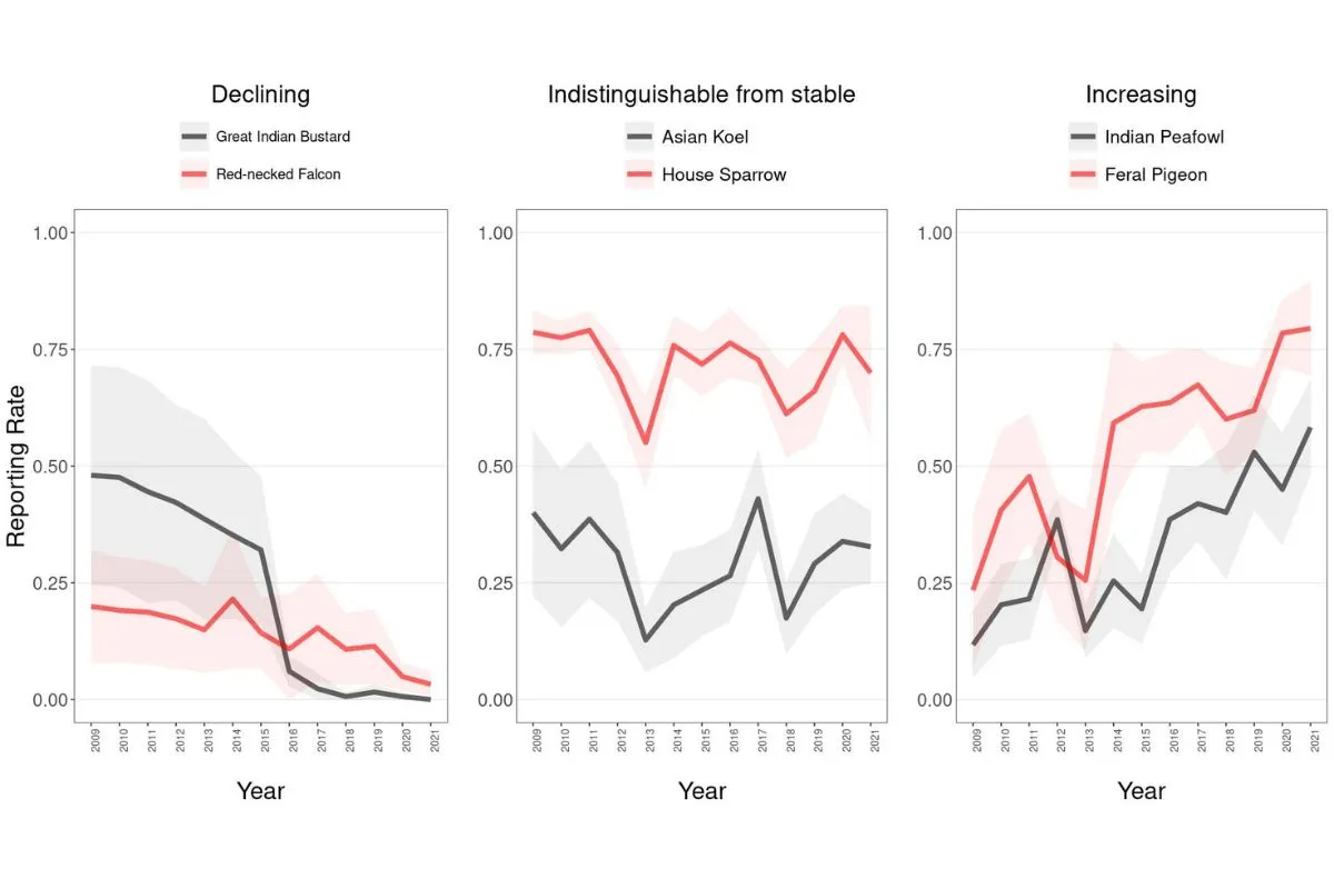 A graph showing annual trends of selected species in grasslands. Large-bodied, specialist birds like the great Indian bustard have shown “strong, consistent declines