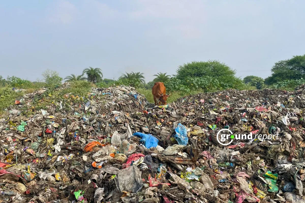 Waste management in India