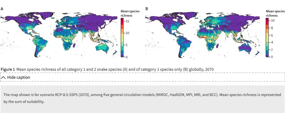 Mean species richness of all category 1 and 2 snake species (A) and of category 1 species only (B) globally, 2070