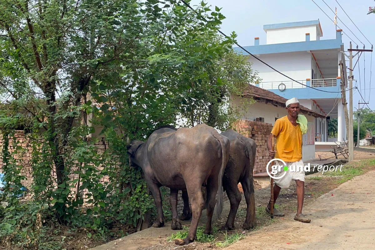 Farmers in India Animal Husbandary