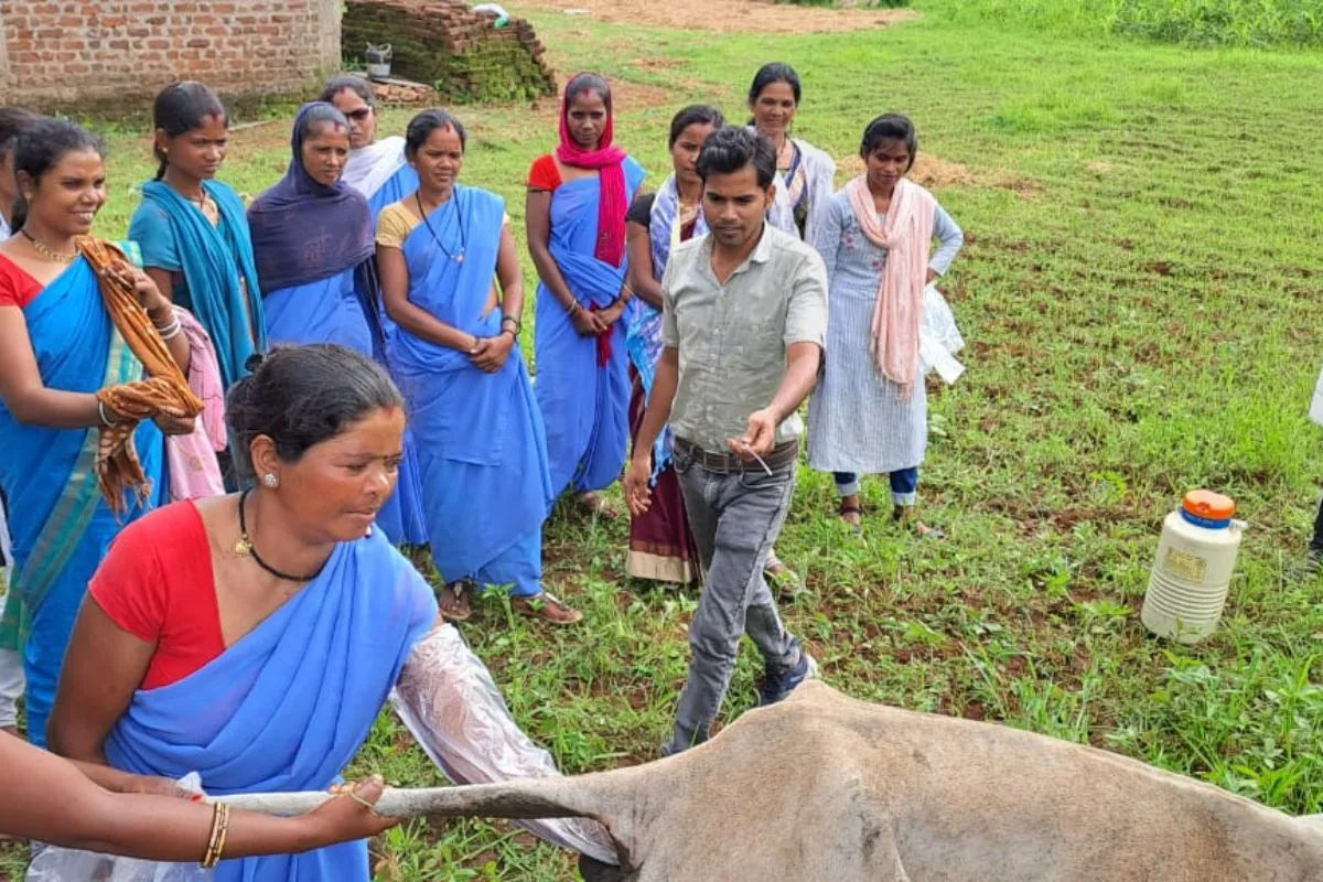 pashu sakhi mandla 