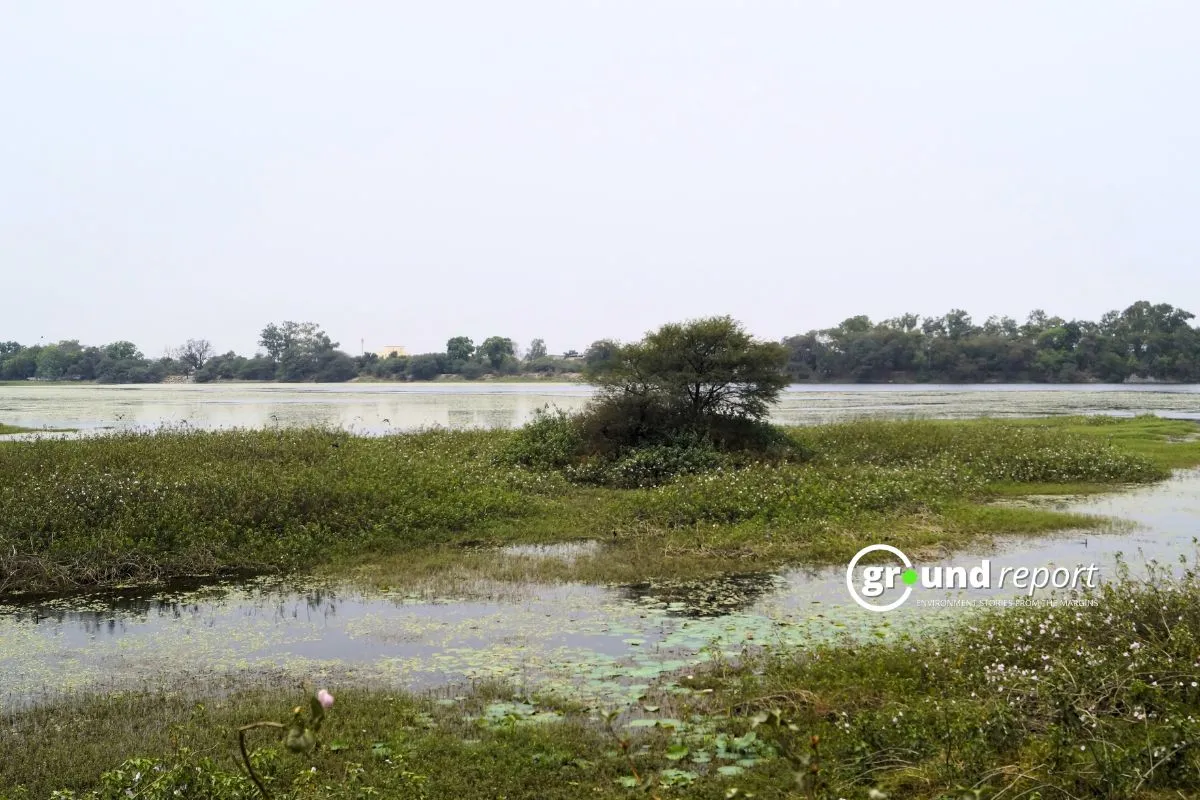 Sipur Wetland Indore