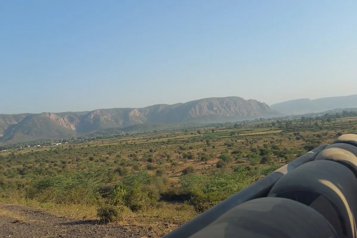 This image shows the scenic beauty of the varying of flora at Sariska Tiger Reserve