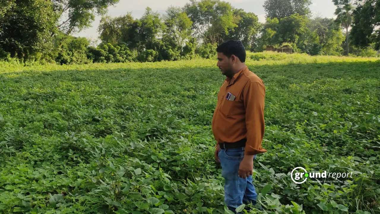 Sachin Bundela, a farmer from Deri village in Chhatarpur (M.P.), stands on his farm.