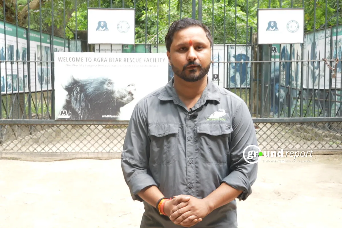 sloth bear expert at Wildlife SOS