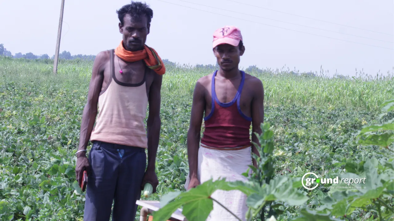 Bhagirat in his farm