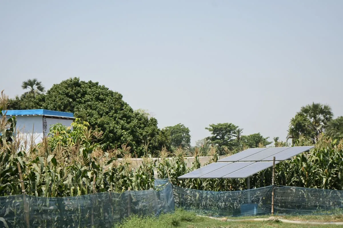 Solar powered water pump set up of Anu Devi in Muzaffarpur, Bihar. Photo  by Ashutosh Kumar