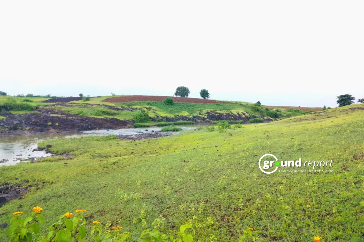 Ramtil Niger Farming in Mandla