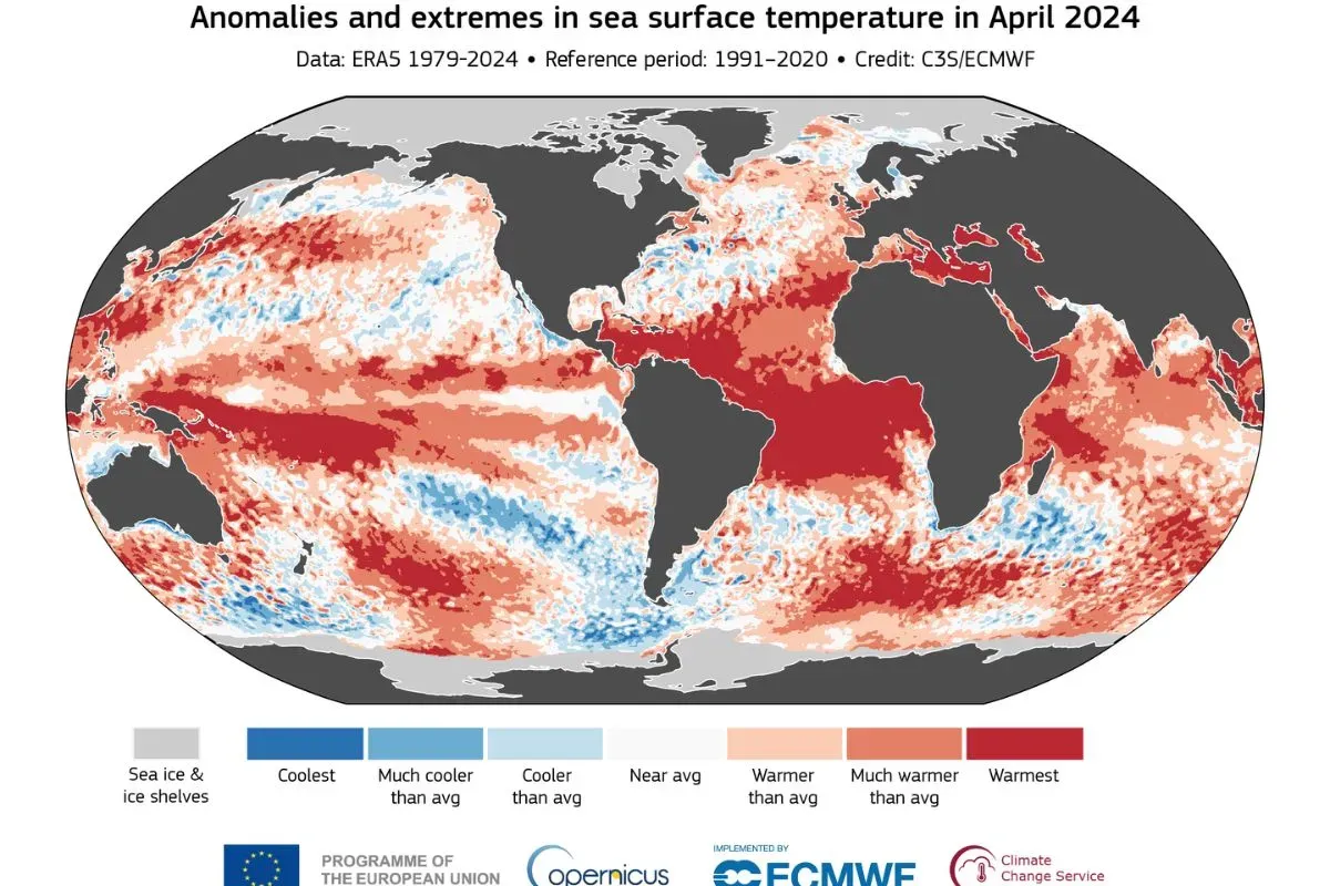 extremes in sea surface temperature percentiles in April 2024