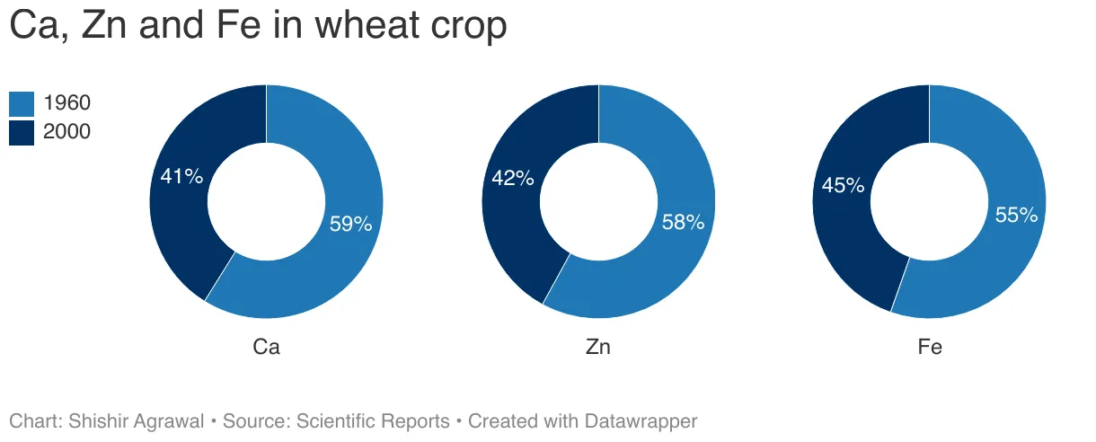 Nutrients in Indian Wheat