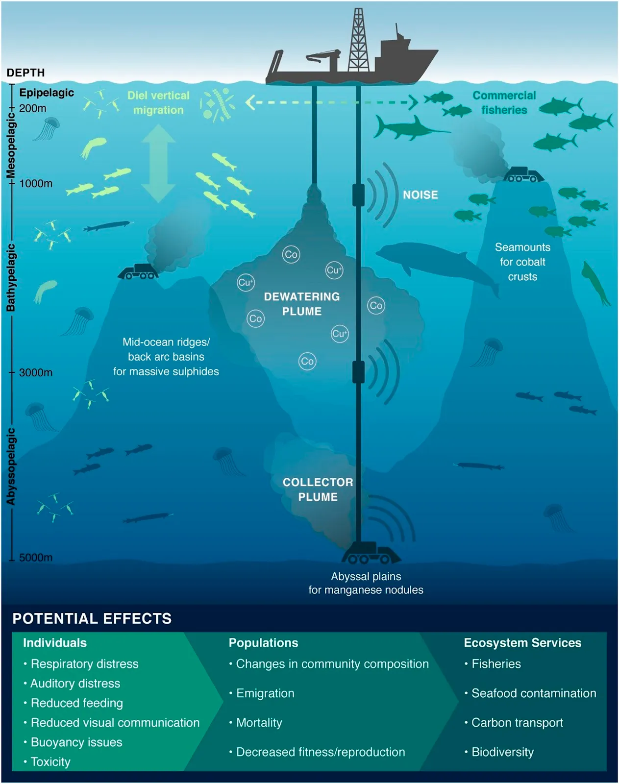 negative impacts of deep sea mining