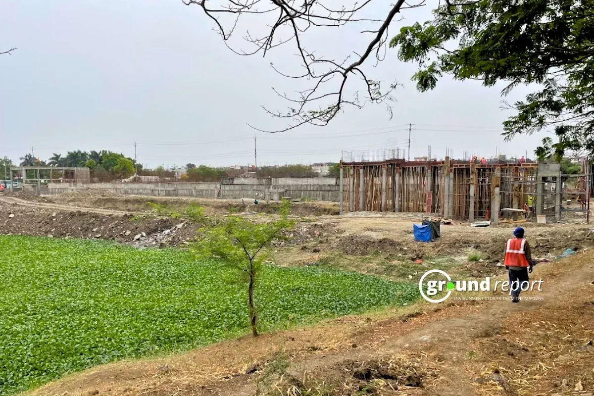 Water Hyacinth in Sirpur Wetland