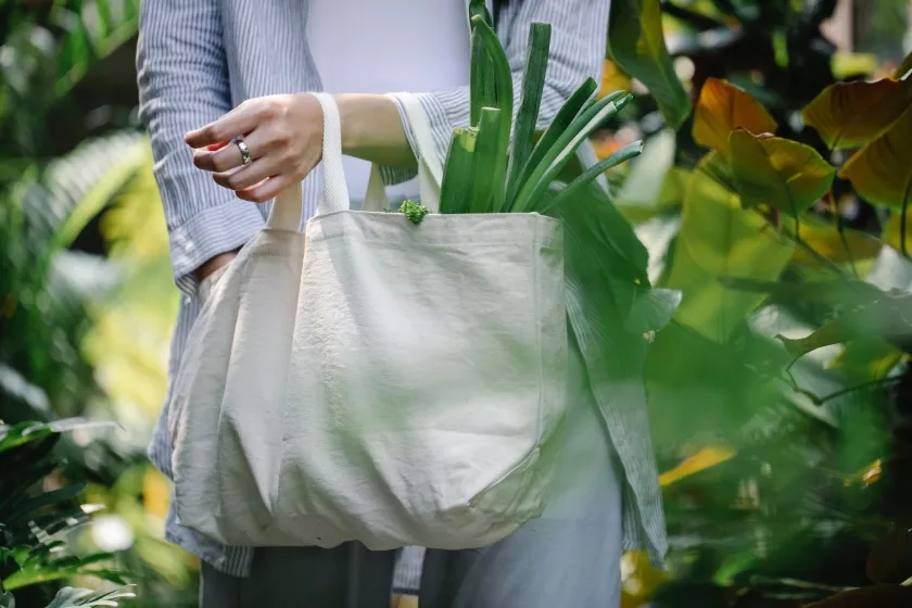 A woman holds a shopping bag.