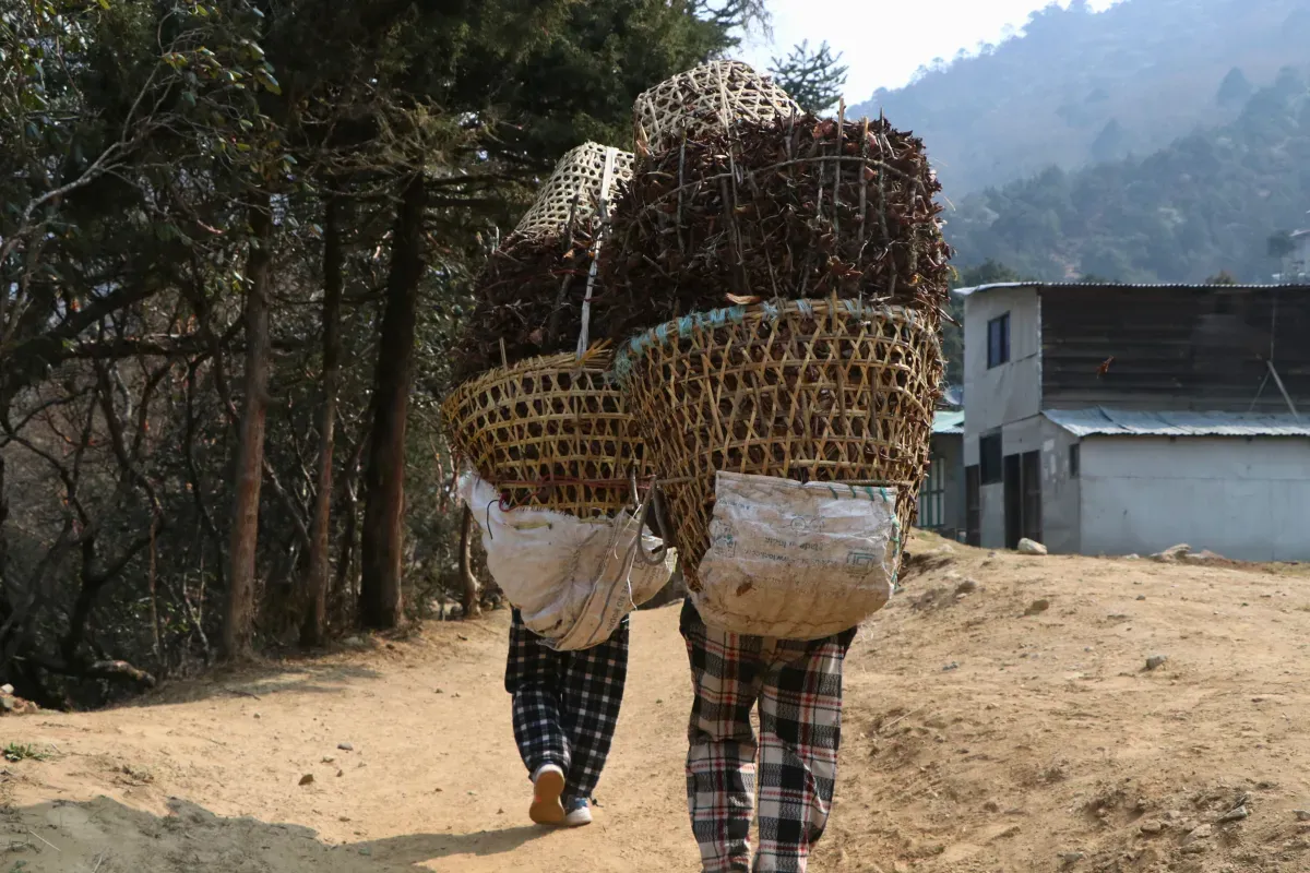 livelihood in Khumbu