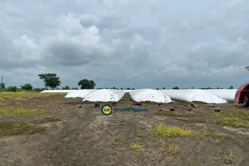 silo bag facility in Nasrullaganj