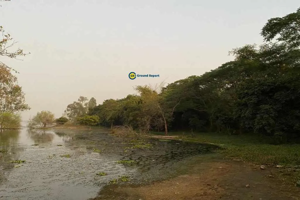 Kaliyasot dam Bhopal