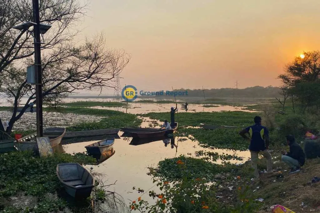 chestnut farming bhopal upper lake