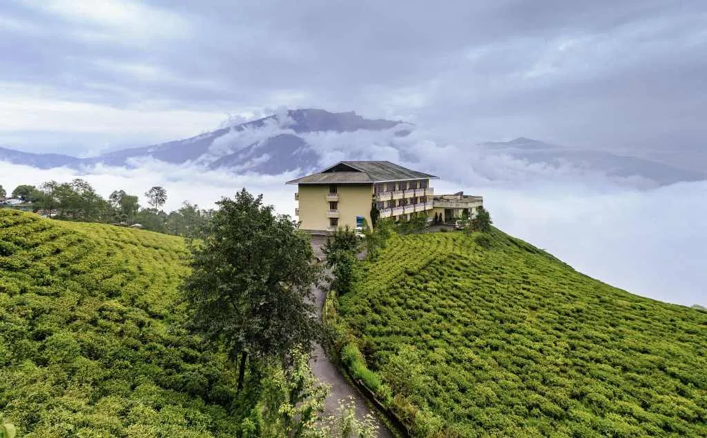  Cherry Resort inside Temi Tea Garden, Namchi, Sikkim | Courtesy: Subhrajyoti07/ Wikimedia Commons