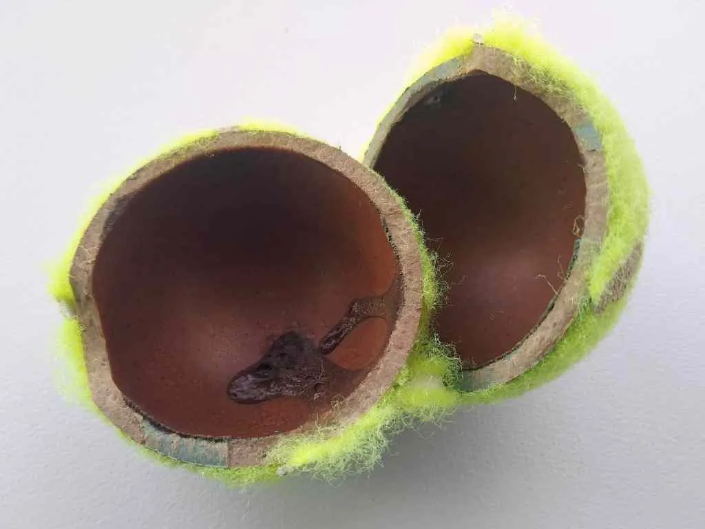 A tennis ball sliced open to show its interior 